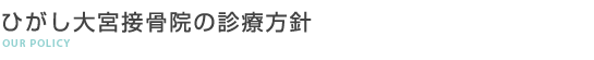 ひがし大宮接骨院の診療方針